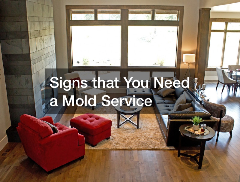Signs that You Need a Mold Service