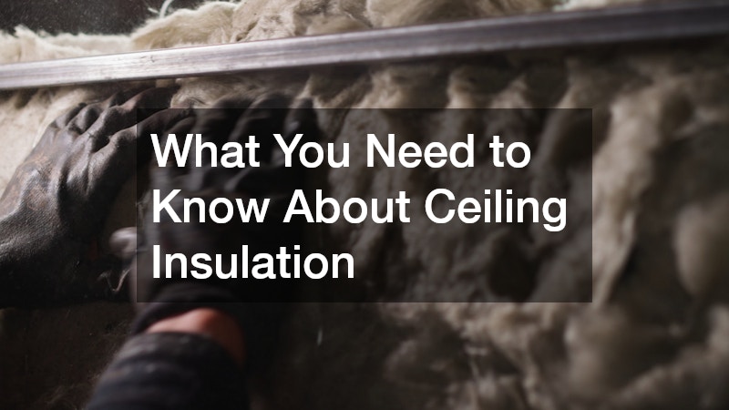 What You Need to Know About Ceiling Insulation